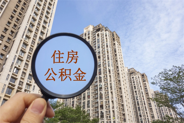 沈阳个人公积金去哪儿取（住房公积金个人到哪里提取）